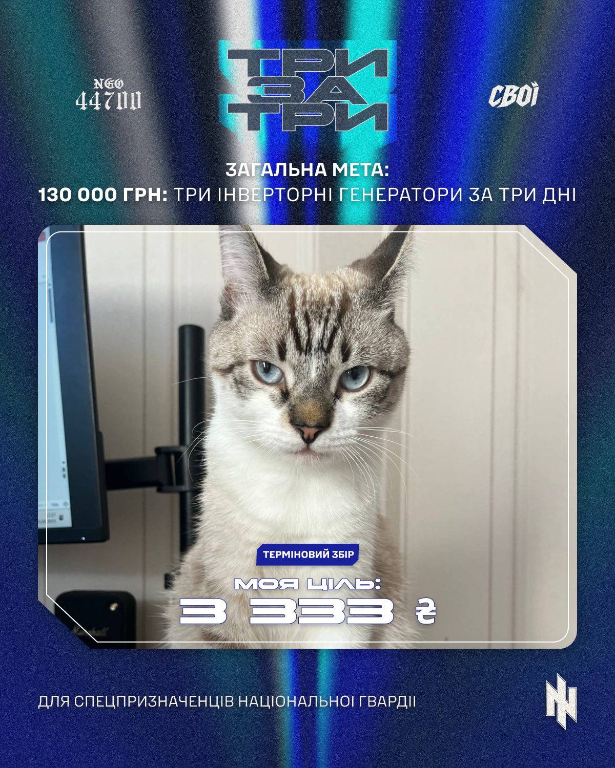 Банка з котом: моя ціль 3 333 грн